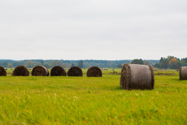 Similar image 21609912