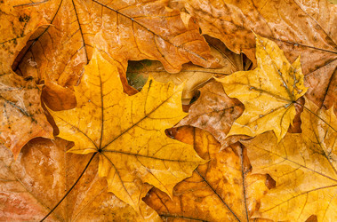 Similar image 21609914