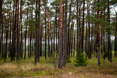 Similar image 21609922