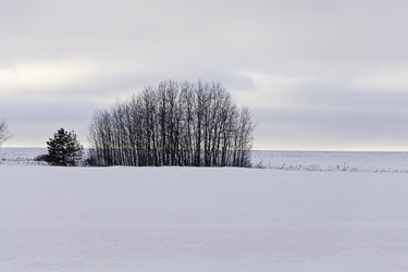 Similar image 21609926