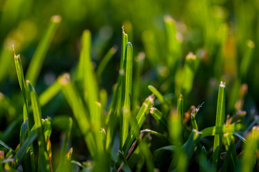 Similar image 21609928