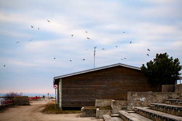 Similar image 21609931