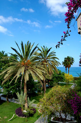 Similar image 21611335