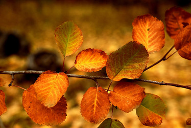 Similar image 21611337