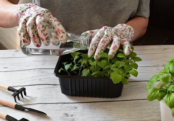 Similar image 21611339