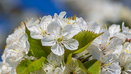 Similar image 21564096