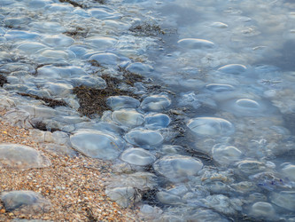 Similar image 21564099