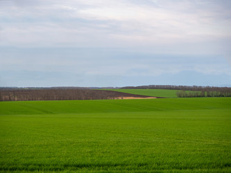 Similar image 21564102