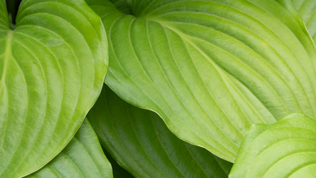 Similar image 21564103