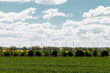 Similar image 21609947