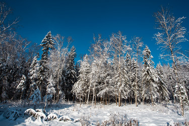 Similar image 21609949