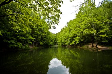 Similar image 21609951