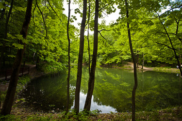 Similar image 21609953