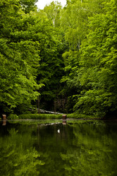 Similar image 21609954