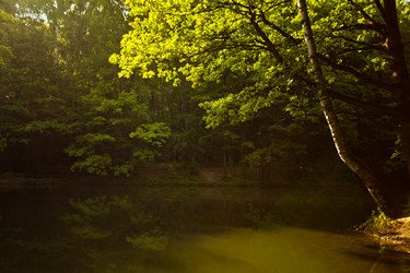 Similar image 21609958