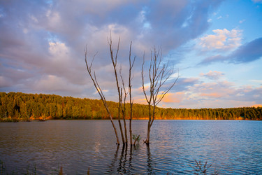 Similar image 21609961