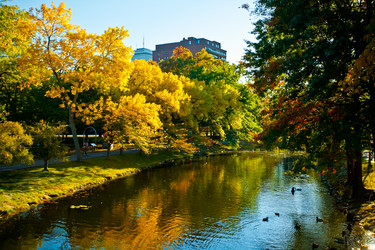 Similar image 21609974