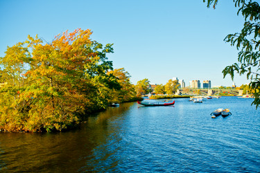 Similar image 21609975