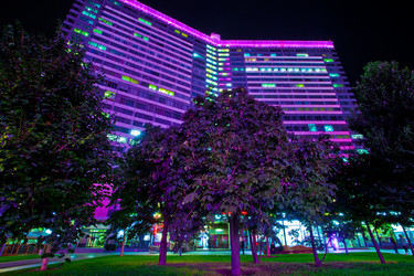 Similar image 21609977