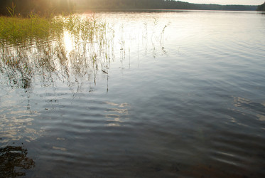 Similar image 21608742