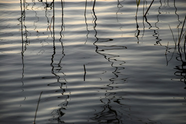 Similar image 21608744