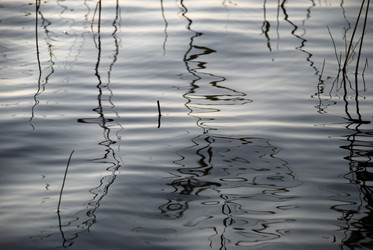 Similar image 21608745