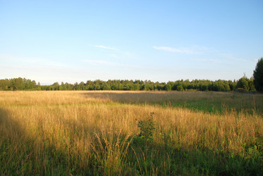 Similar image 21608748