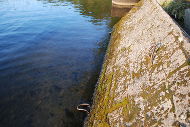 Similar image 21608751