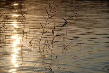 Similar image 21608752