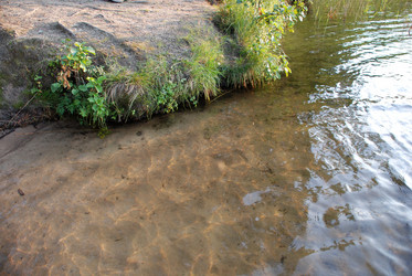 Similar image 21608755