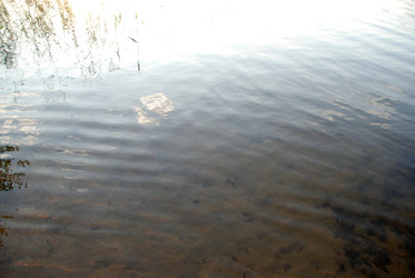 Similar image 21608759