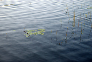 Similar image 21608763