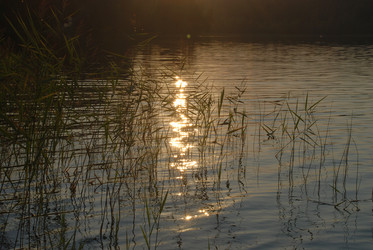 Similar image 21608764