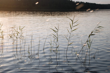 Similar image 21608769