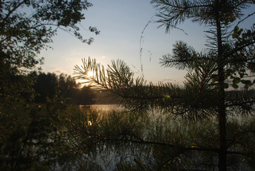 Similar image 21608770