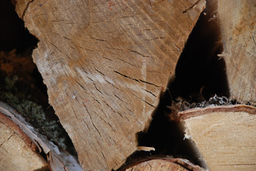 Similar image 21608843