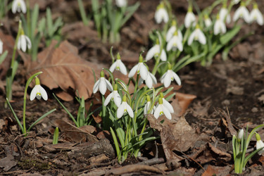 Similar image 21608778