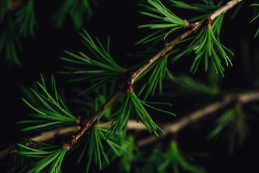 Similar image 21564374