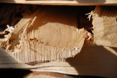 Similar image 21608849