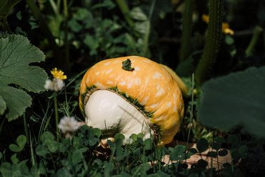 Similar image 21564387