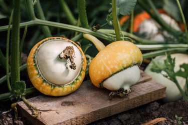 Similar image 21564388