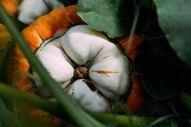 Similar image 21564389