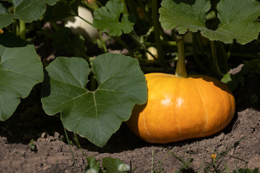 Similar image 21564390