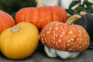 Similar image 21564392