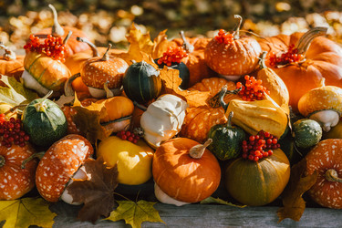 Similar image 21564393