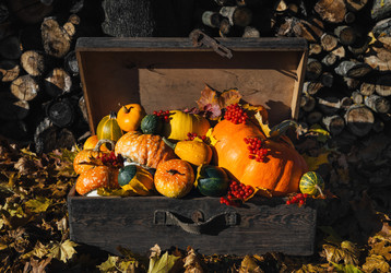 Similar image 21564396