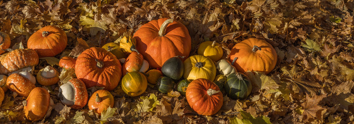 Similar image 21564397