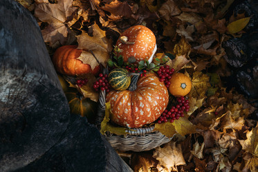 Similar image 21564399