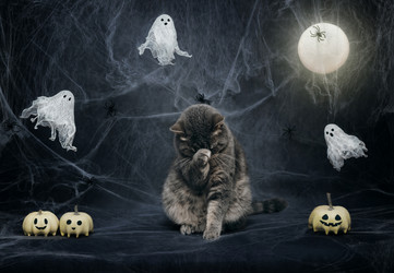 Similar image 21564401