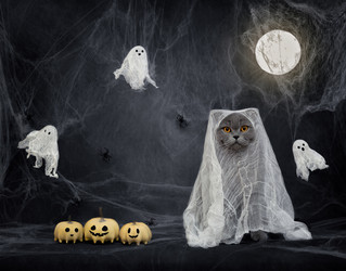 Similar image 21564408